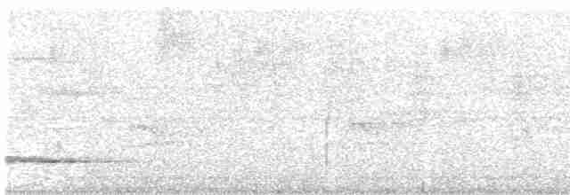 Kara Yüzlü Karıncaardıcı - ML565221601
