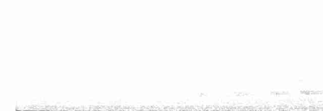Buff-collared Nightjar - ML565228491