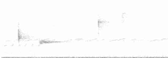 Чернокрылая пиранга - ML565238551