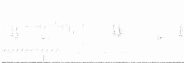 Hirondelle bicolore - ML565238951