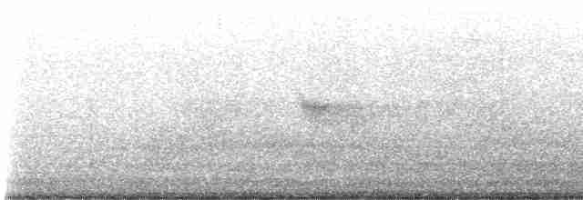 Al Kanatlı Karatavuk [phoeniceus grubu] - ML565253101