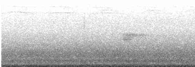 Carouge à épaulettes (groupe phoeniceus) - ML565253111