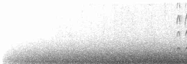 Сичик-горобець болівійський - ML565282191