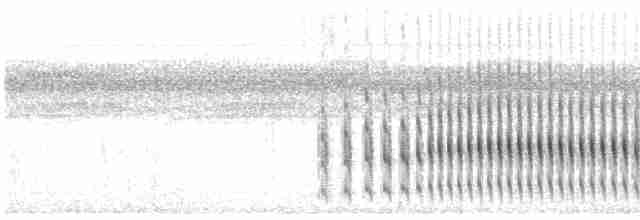 Желтогорлая пищуховая иглохвостка - ML565288971
