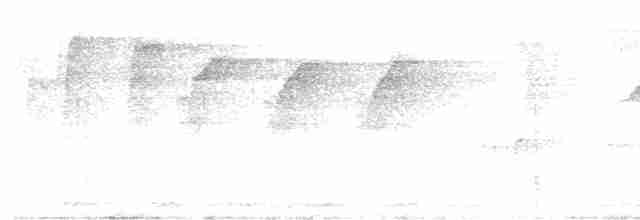 Сіпарая чорночерева - ML565322951