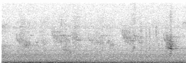 Oriental Reed Warbler - ML565332441