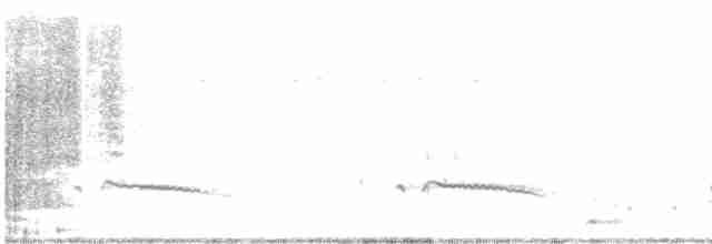 Gray-bellied Cuckoo - ML565343661