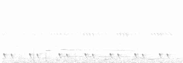 Red-necked Nightjar - ML565347001