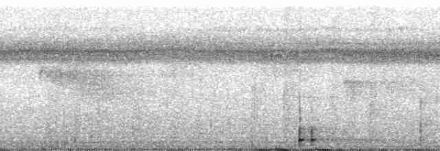 Дятел-кардинал світлодзьобий - ML56536
