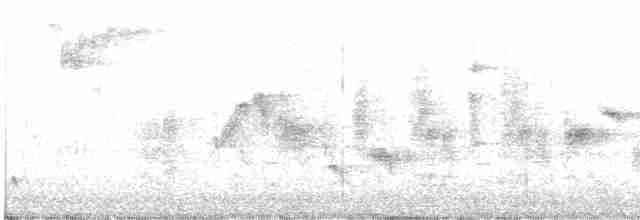 Garden Warbler - ML565362801