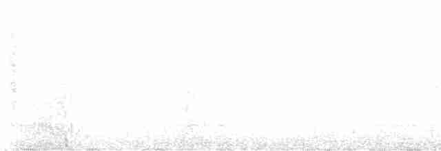Trogon élégant - ML565380631