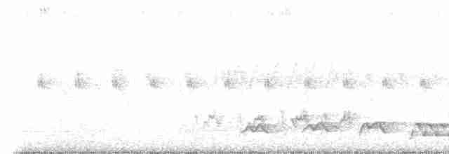 Shama à croupion blanc (groupe malabaricus) - ML565425841