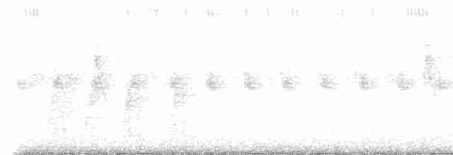 Shama à croupion blanc (groupe malabaricus) - ML565425851