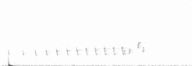 Buff-collared Nightjar - ML565427181