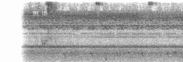 Savannennachtschwalbe - ML565450991