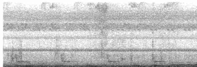 Large-tailed Nightjar - ML565460421