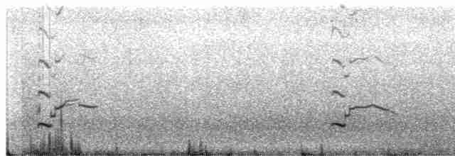 Делавэрская чайка - ML565483601