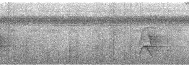 Jacamar à queue rousse (melanogenia) - ML56549