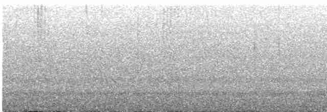 Колібрі-самоцвіт синьогорлий - ML565491511