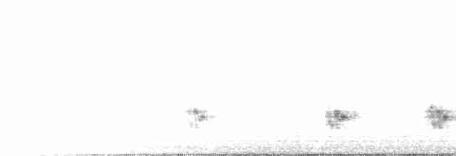 Куцокрил болотяний - ML565505271