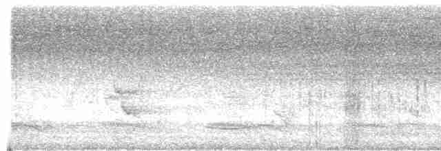Puff-throated Babbler - ML565531451