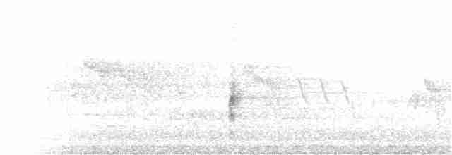 Пересмішник сірий - ML56555181
