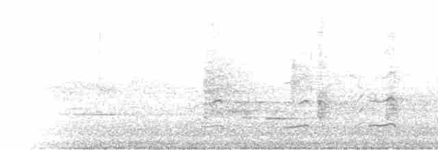 Пересмішник сірий - ML56555191