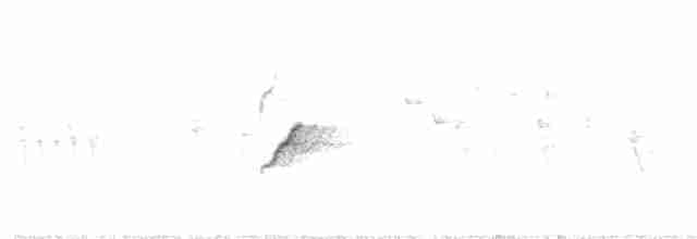 Txonta arrunta - ML565580121