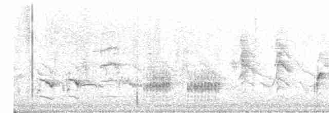 Great Reed Warbler - ML565615541