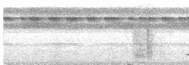 Красногрудый скрытохвост - ML565650101