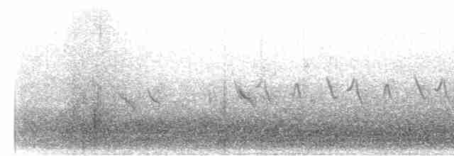 Evening Grosbeak (type 1) - ML565654521
