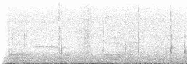 Дрізд-короткодзьоб Cвенсона - ML565738151