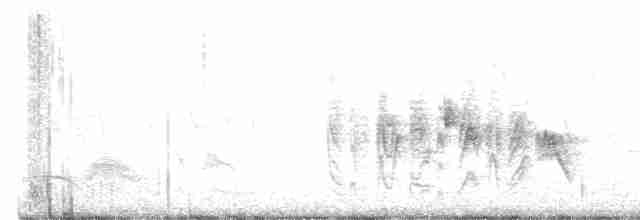 Braunaugenvireo (pusillus) - ML565768011