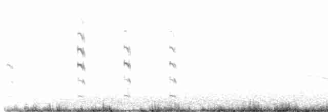 Gray-headed Lapwing - ML565829591
