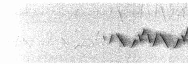 Common Yellowthroat (trichas Group) - ML565914801