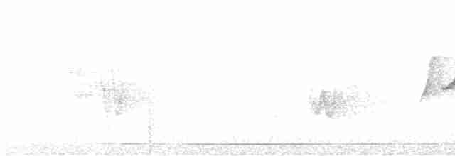 Slaty-breasted Tinamou - ML565915181