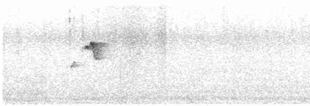 Sulphur-breasted Warbler - ML565930451
