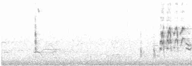 Обыкновенная каменка (oenanthe/libanotica) - ML565931571