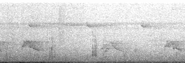 karmingumpkasik (microrhynchus) (ildgumpkasik) - ML56597