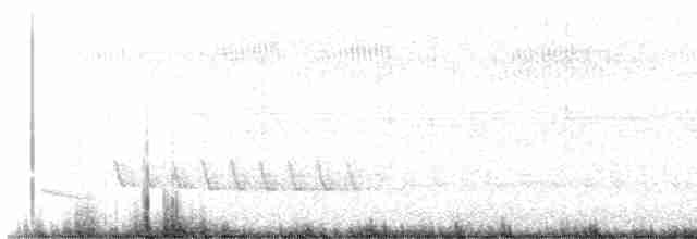 White-eyed Vireo - ML566021271
