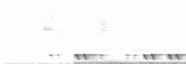 Red-necked Nightjar - ML566062901