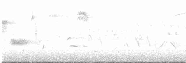 オリーブチャツグミ - ML566104801
