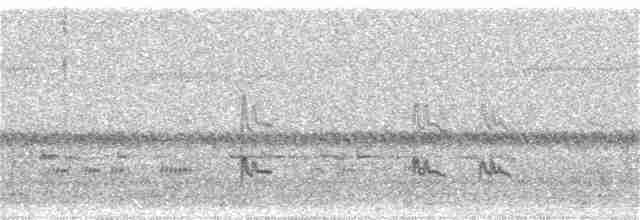 Graumantel-Brillenvogel - ML56611021