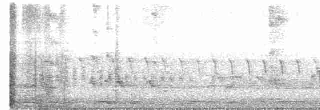 Пересмішник сірий - ML566117521