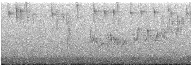 Cerulean Warbler - ML566148561