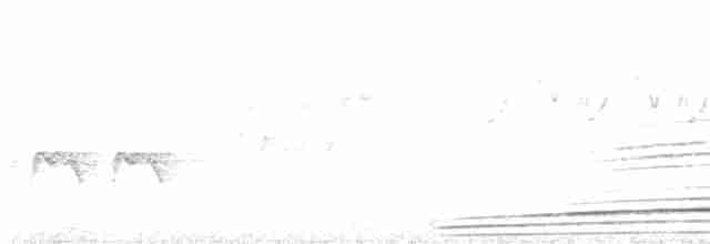 Серобрюхий трагопан - ML566217711