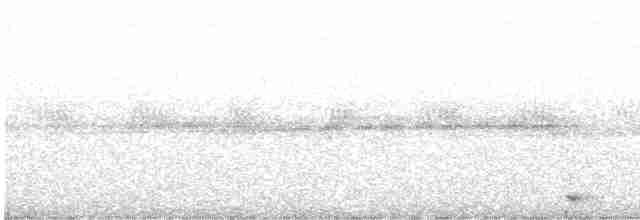 Rufous-and-white Wren - ML566218961