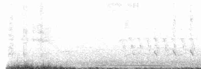 White-tipped Dove - ML566228481