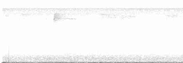 Пісняр-лісовик жовтогузий (підвид coronata) - ML566249701