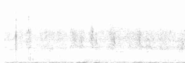 Hudsonian Godwit - ML566273801